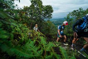 BIB: 
                            <button type="button" onclick="openModal(26196510)" class="btn btn-primary btn-sm float-right btn-popup" data-toggle="modal" data-target=".modal-high-quality">
                        <i class="fas fa-shopping-cart"></i> Add to Cart
                    </button>
                                            <button type="button" onclick="isThisMe(26196510, true)" class="btn btn-success btn-sm float-right btn-popup btn-isme hidden" data-toggle="tooltip" data-placement="bottom" title="นี่คือรูปของคุณใช่ไหม คลิกที่นี่เพื่อเอาเข้าอัลบั้ม">
                        <i class="fas fa-plus"></i> Add to album
                    </button>
                    <button type="button" onclick="isThisMe(26196510, false)" class="btn btn-warning btn-sm float-right btn-popup btn-isnotme hidden">
                        <i class="fas fa-ban"></i> Remove from album
                    </button>